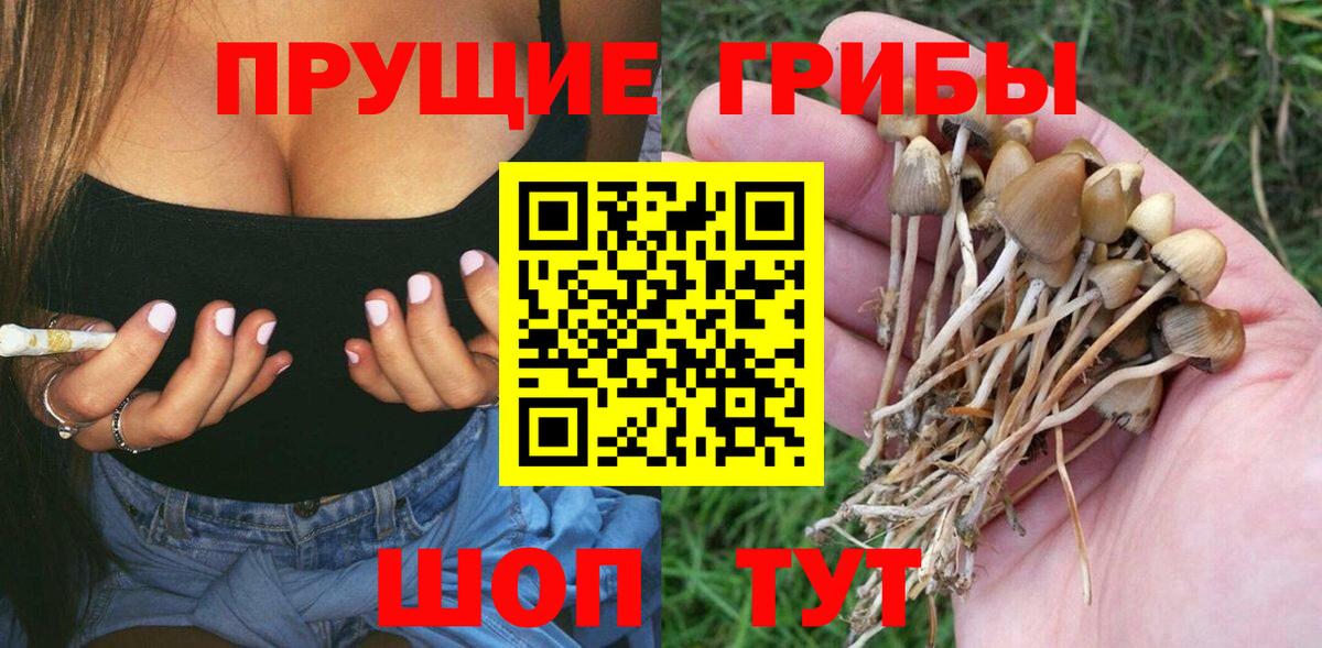 Псилоцибиновые грибы Magic Shrooms  Вход с VPN  продажа наркотиков  Рославль 